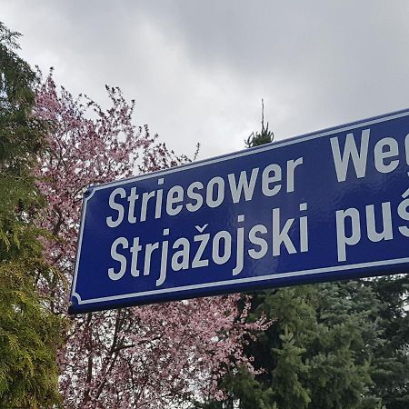 2 Raum Gartenwohnung Am Spreewaldradweg In Cottbus Bagian luar foto